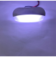LED COURTESY LIGHT - 12 volts - White -WK-LCL6-CW - AZLED